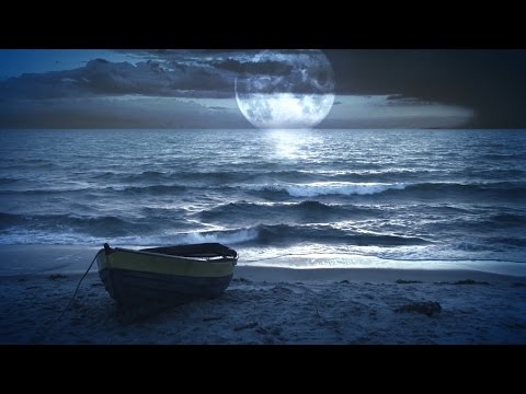 Ocean Sounds and Forest Nature Sound: Meditation, Sleep
